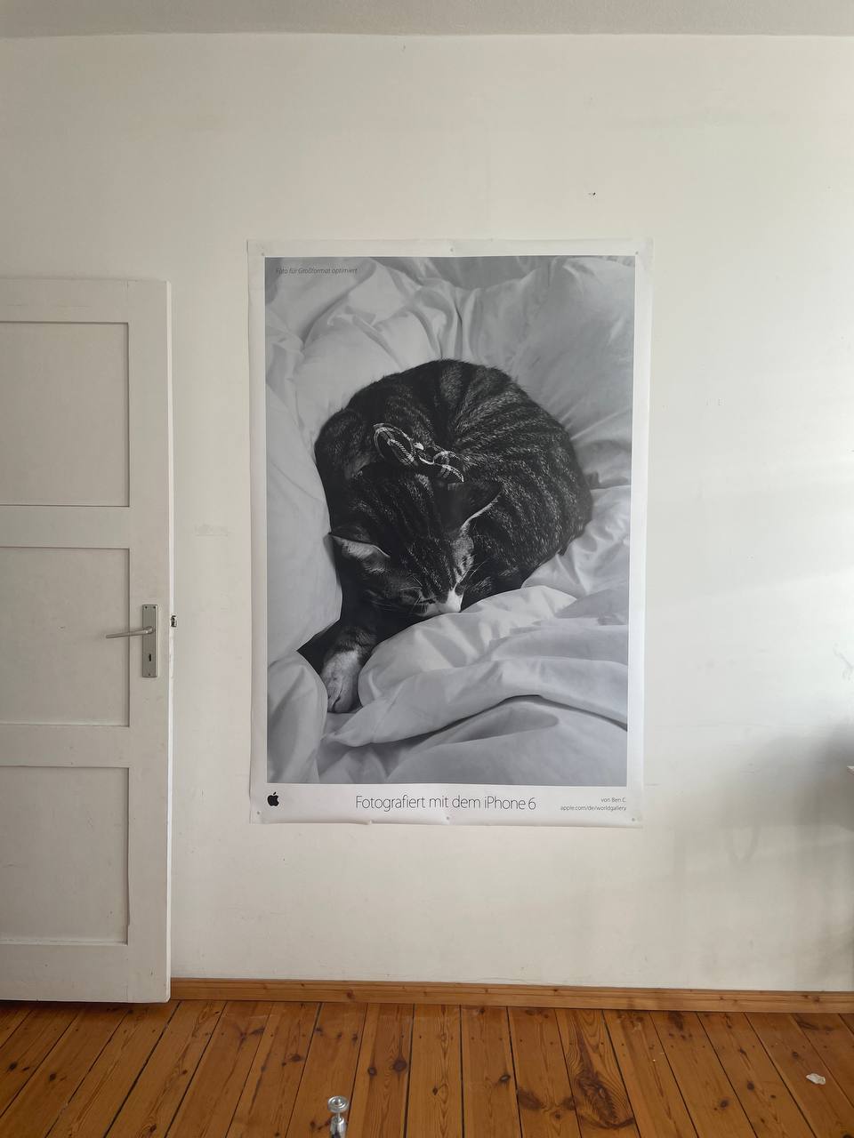 photo_2024-02-01 15.18.47.jpeg